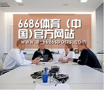 研发能力标题二